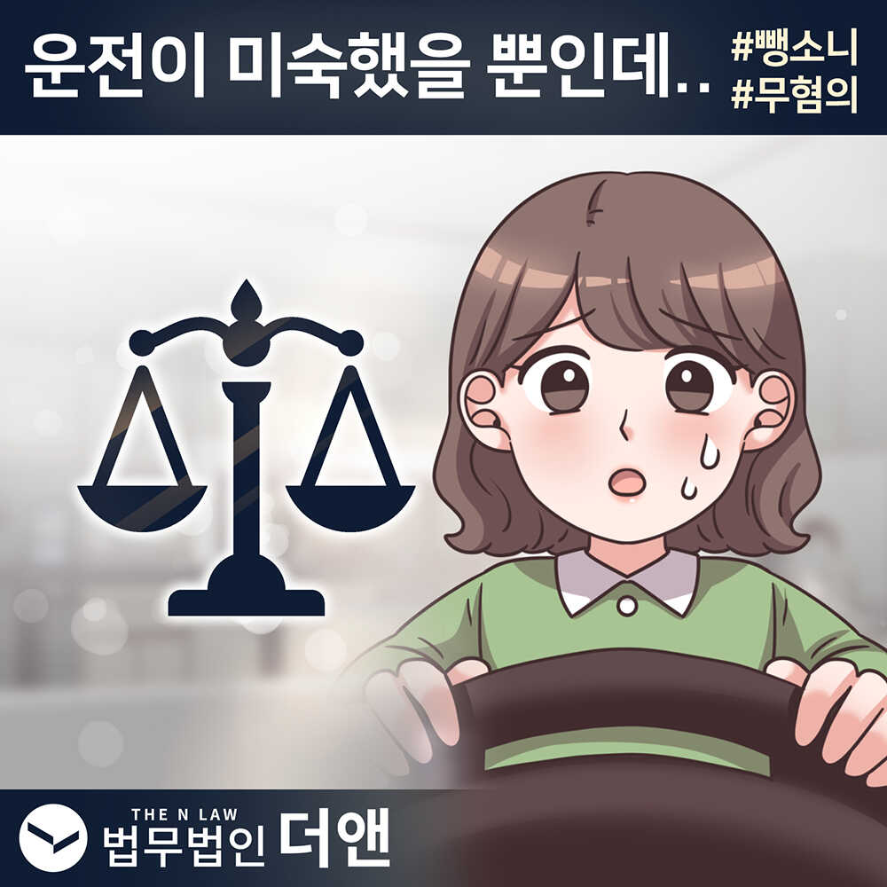 38화 뺑소니, 운전이 미숙했을 뿐인데..