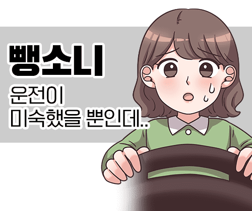 38화 뺑소니, 운전이 미숙했을 뿐인데..